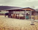 Heuraufen für Pferde | Robuste Futterraufen Heuraufen für Pferde | Robuste Futterraufen