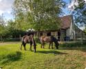 Seniorenplatz im Offenstall    -   privat