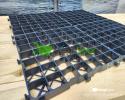 Paddockplatten & Rasengitter - ideal für Paddocks Paddockplatten & Rasengitter - ideal für Paddocks