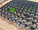 Extrem robuste Rasengitterplatten & Kiesgitter Extrem robuste Rasengitterplatten & Kiesgitter