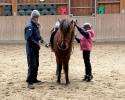 Teilzeitstelle als Reitlehrer/in