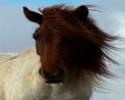 Sportlich, schick, charakterstark ... tragend Sportlich, schick, charakterstark ... tragend