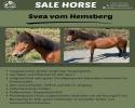 Svea vom Hemsberg Svea vom Hemsberg