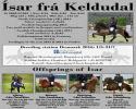 Ísar frá Keldudal Ísar frá Keldudal